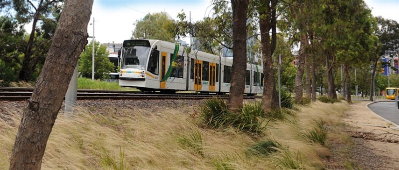 Combino tram on Route 96 at Port Junction