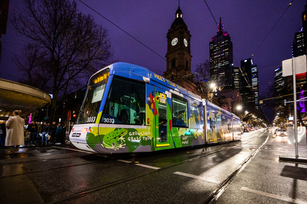 Photo: Bush Heritage's Native Neighbours tram out on the network