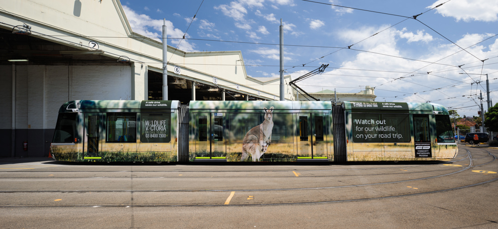 Photo: full image of the Wildlife Victoria's tram at a tram depot, which shows a photo of a Kangaroo and the message 'Watch out for wildlife on your roadtrip'