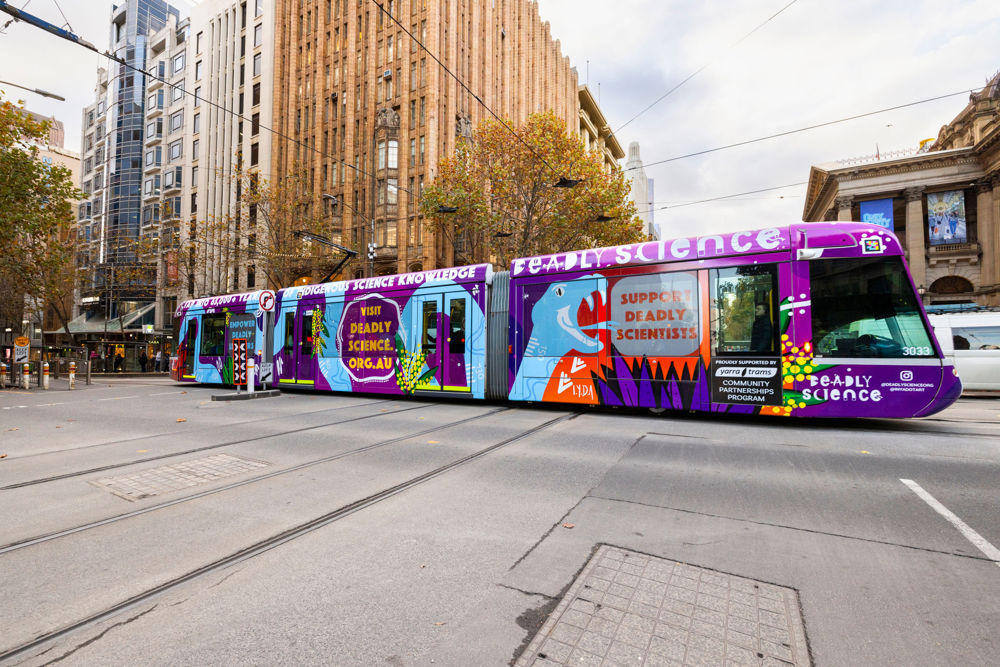 Photo of a c1 tram travelling through city intersection, wrapped in with purple wrap featuring native plants and light blue snake